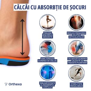 Talonete ortopedice – Active - imagine 5